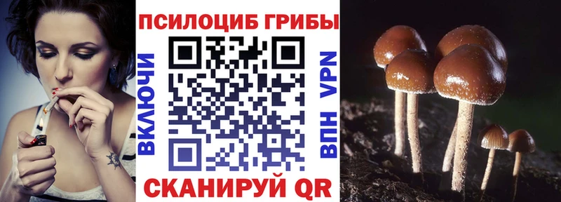 Галлюциногенные грибы MAGIC MUSHROOMS  площадка какой сайт  Тобольск  купить  цена 
